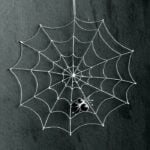 Black Spider with Silver Web