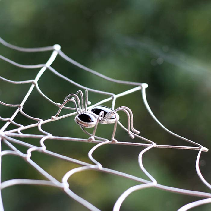Black Spider with Silver Web